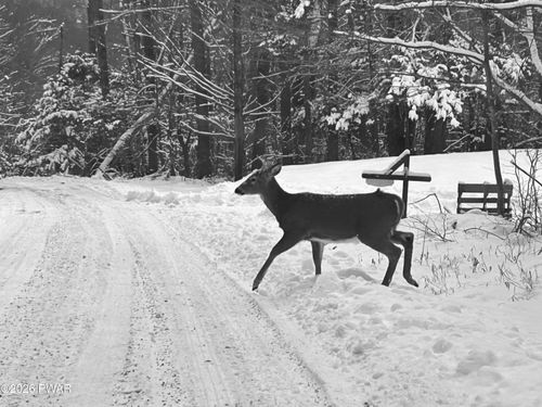 Lot 15 Game Trail Dr, Greentown, PA, 18426 | Card Image