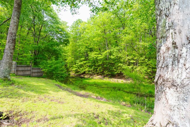 9266 Forest Rd, House other with 4 bedrooms, 4 bathrooms and null parking in Coeburn VA | Image 32