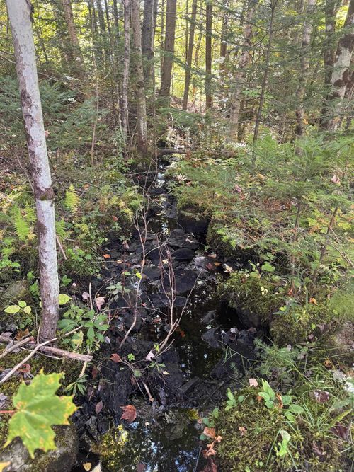 10 Hampshire Hill Rd, Worcester, VT, 05682-9754 | Card Image