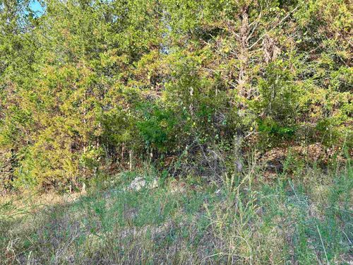 TBD Bluff Rd, Hardy, AR, 72542 | Card Image
