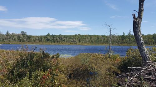 49699 Parker Pond Road, Jay, ME, 04239 | Card Image