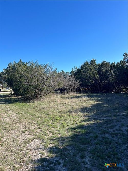 1309 and 1321 Lakeview Drive, Canyon Lake, TX, 78133 | Card Image