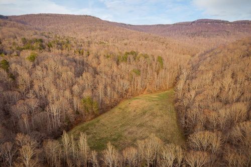 0 Buffalo Cove Ln, Jamestown, TN, 38556 | Card Image