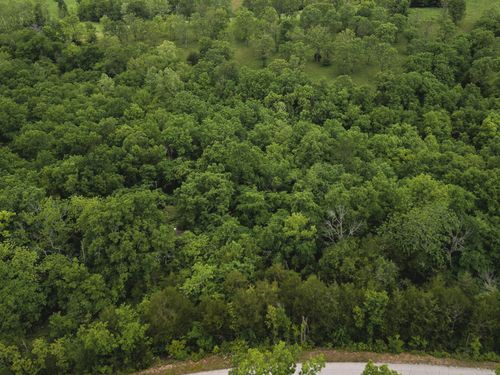 000 County Road 131, Wasola, MO, 65773 | Card Image