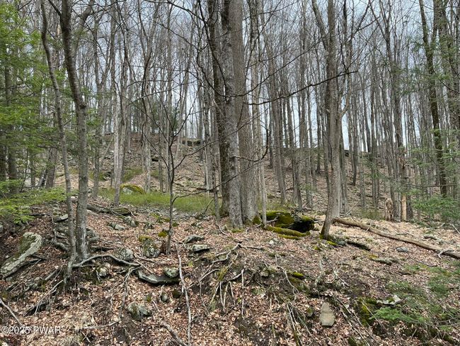Lot View | Image 6