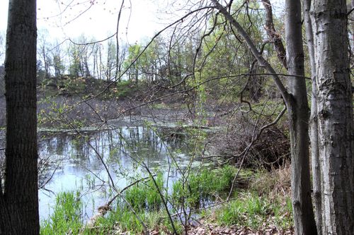 V/L Frost Road, Portland, MI, 48875 | Card Image