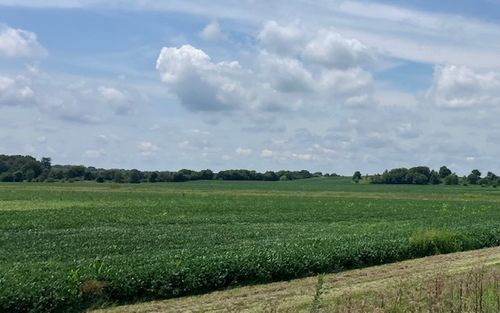 14651 1200 East St, Wyanet, IL, 61379 | Card Image