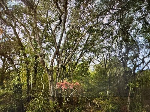 0 Se 141st Cir, Ocklawaha, FL, 32179 | Card Image