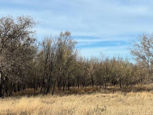 0 County Rd 4156, Snyder, TX, 79549 | Card Image