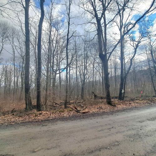 TBD Glade Run Road, Albright, WV, 26519 | Card Image