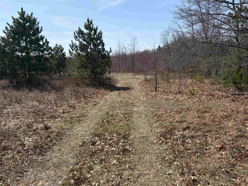 40 acres Town Hall Road Road, Dellona, WI, 53944 | Card Image