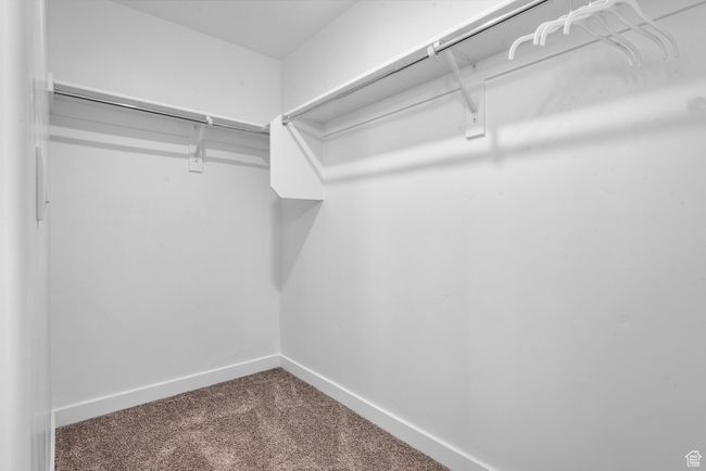 Spacious closet featuring dark carpet | Image 17