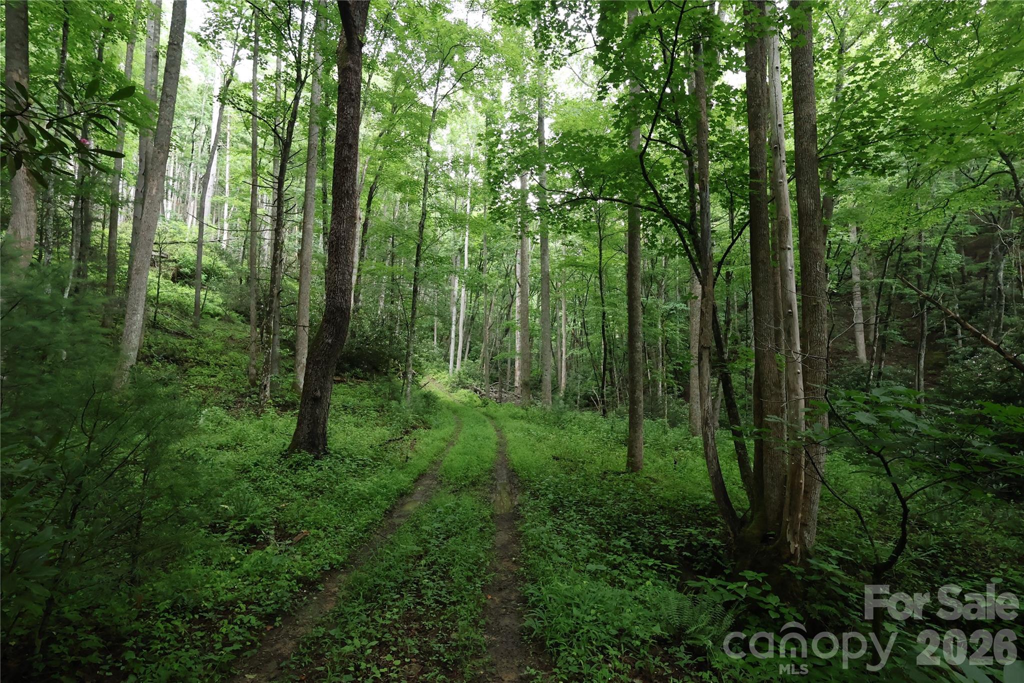 Land in Lenoir