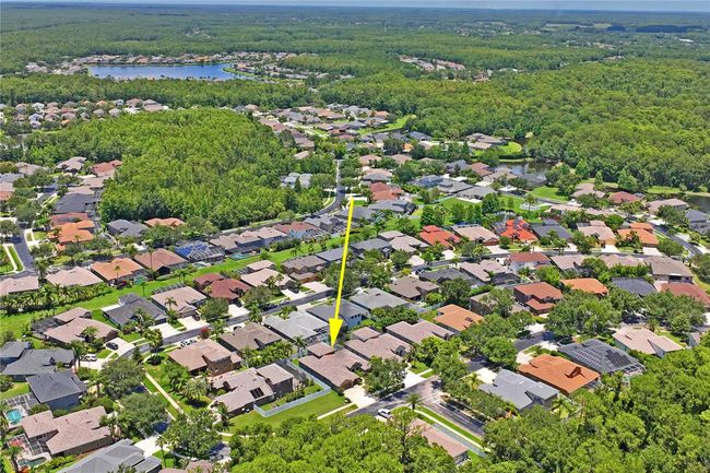 12801 Stanwyck Cir, House other with 4 bedrooms, 3 bathrooms and null parking in TAMPA FL | Image 59