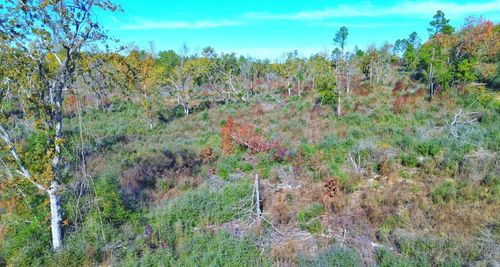 TBD Fm 2022 N, Grapeland, TX, 75844 | Card Image