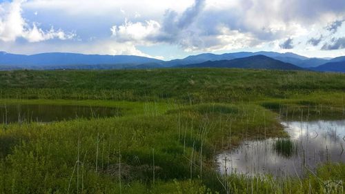 Lot 36 Hart Ranch Dr, Beulah, CO, 81023 | Card Image