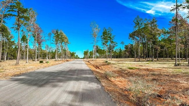 15538 Aniston Ln, Home with 0 bedrooms, 0 bathrooms and null parking in Flint TX | Image 46