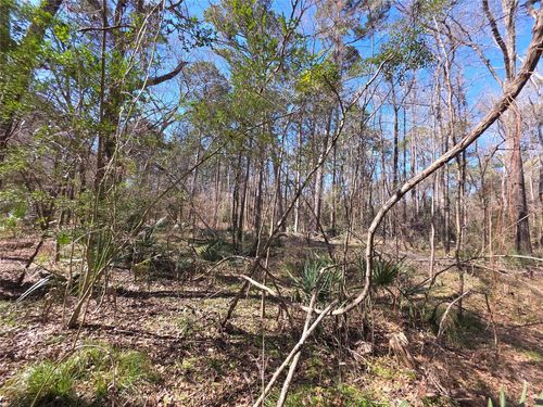 TBD Blanks Bend Rd, Coldspring, TX, 77331 | Card Image