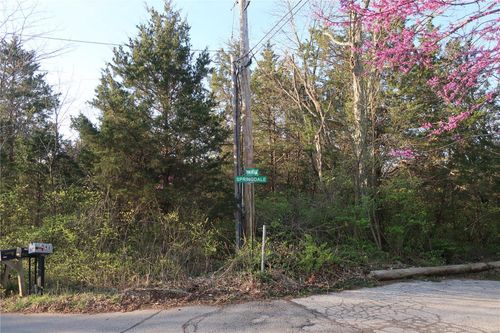 0 .5177 +/- Ac Twin Ridge Drive, Cedar Hill, MO, 63016 | Card Image