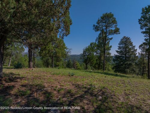 100 Tank Rd, Ruidoso, NM, 88345 | Card Image