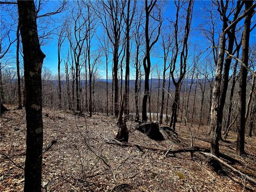Lot 78 Elk Creek Mountain Pkwy, Todd, NC, 28684 | Card Image