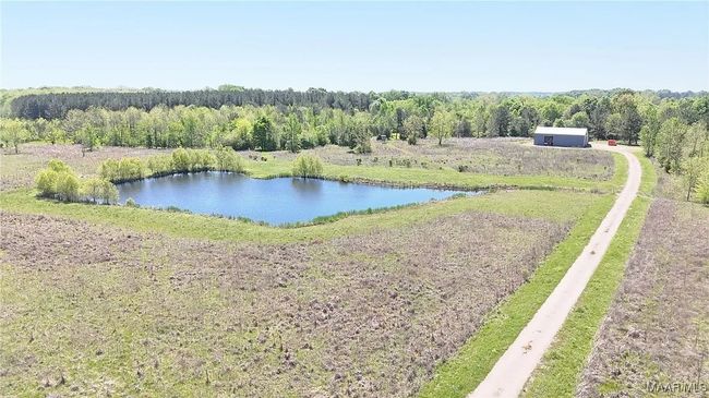 344 Dani Ln, Home with 0 bedrooms, 0 bathrooms and null parking in Mathews AL | Image 16