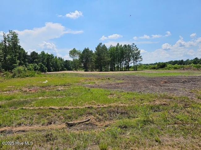 210 Memory Ln, Home with 0 bedrooms, 0 bathrooms and null parking in Burgaw NC | Image 8