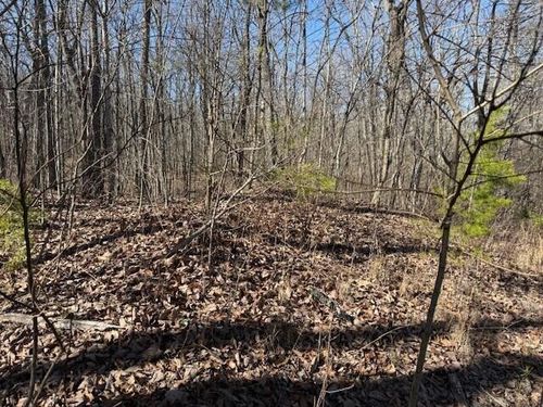 Lot 10b Shadowland Dr, Graysville, TN, 37338 | Card Image