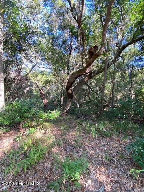 6 Painted Bunting Ct, Bald Head Island, NC, 28461-5016 | Card Image