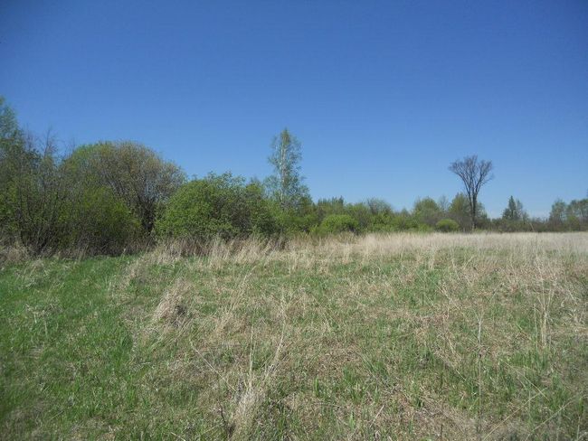 39769 Kestrel Ave, House other with 1 bedrooms, 1 bathrooms and null parking in Tamarack MN | Image 21