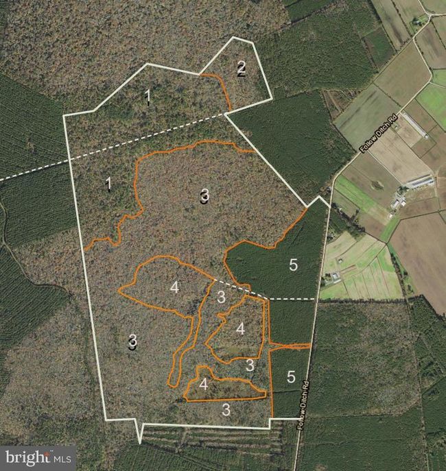0 Follow Ditch Rd, Home with 0 bedrooms, 0 bathrooms and null parking in PRINCESS ANNE MD | Image 5