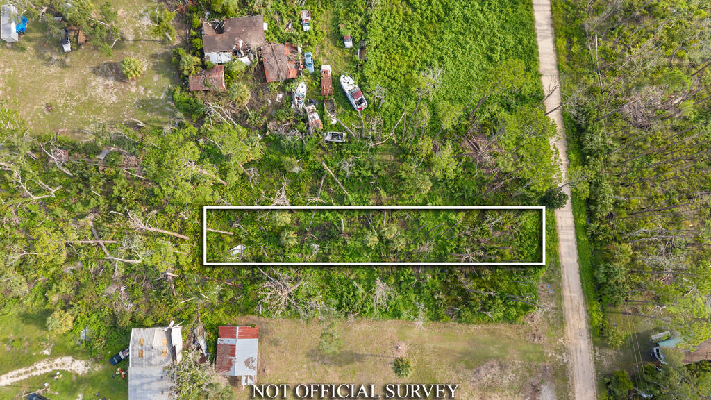 Land in Steinhatchee 4