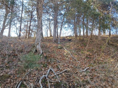 TBD Madison 2149 Lot #4, Huntsville, AR, 72740 | Card Image