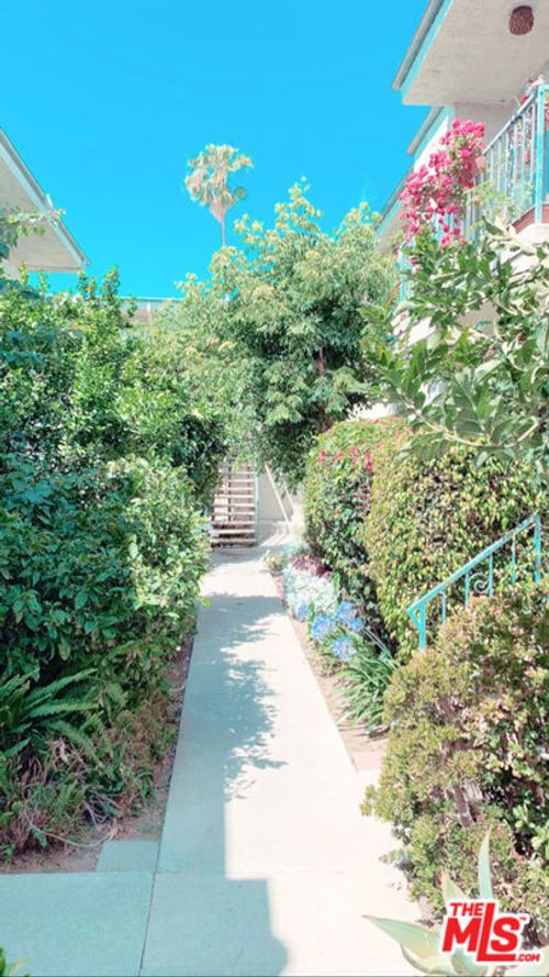 apt-25-11081 Rose Ave, Los Angeles, CA, 90034-2062 | Card Image