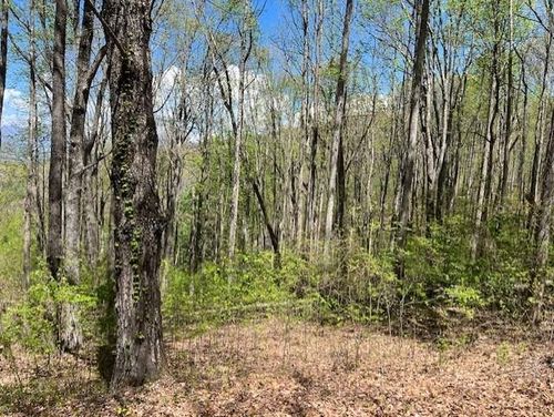 LOT 86 Rocky Knob, Young Harris, GA, 30582 | Card Image