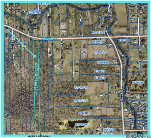 TBD Highway 22, Saint Amant, LA, 70774 | Card Image