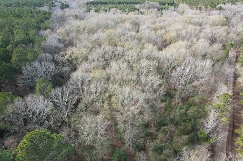 Tract C County Road 4037, Timpson, TX, 75975 | Card Image