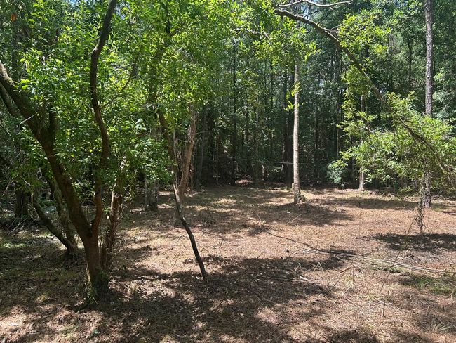 93 Lazy Oak Ln, Home with 0 bedrooms, 0 bathrooms and null parking in Picayune MS | Image 7