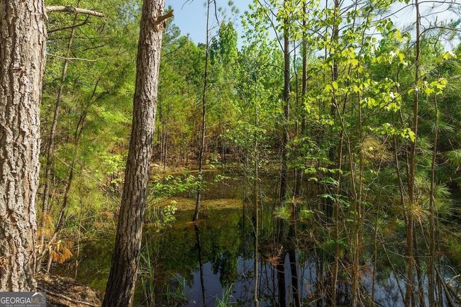 6053 Sun Hill Grange Rd, Home with 0 bedrooms, 0 bathrooms and null parking in Davisboro GA | Image 47