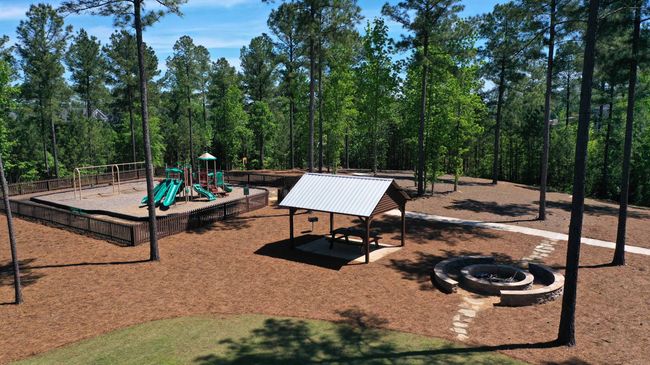 Playground 3 | Image 6