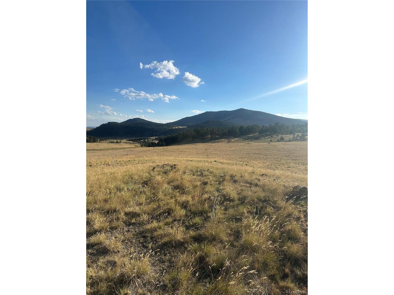 Land in Florissant 5