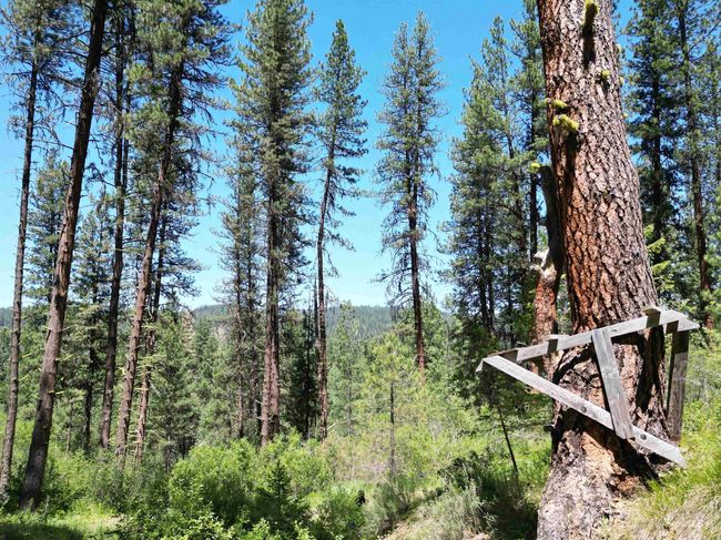36 Meadow Lark Cir, Home with 0 bedrooms, 0 bathrooms and null parking in Idaho City ID | Image 12