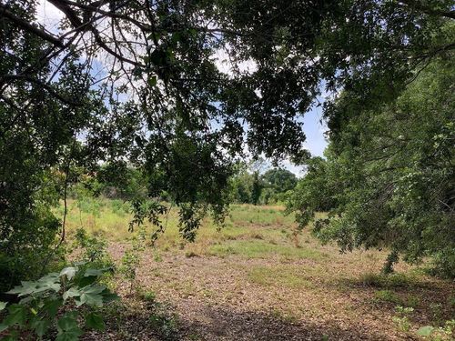 0 Winners Cir, Kissimmee, FL, 34744 | Card Image