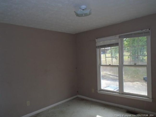 Photo 16 | Image 16