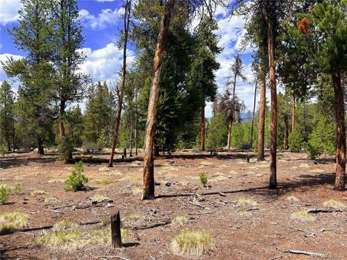 360 Lodgepole Dr, Leadville, CO, 80461-9233 | Card Image