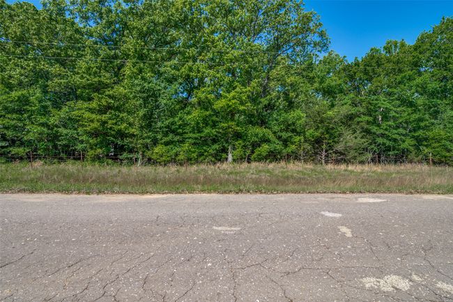 911 Rs County Road 1399, Home with 0 bedrooms, 0 bathrooms and null parking in Point TX | Image 4
