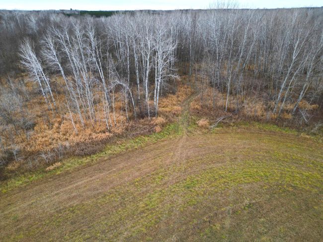 DJI_0391.JPG | Image 38