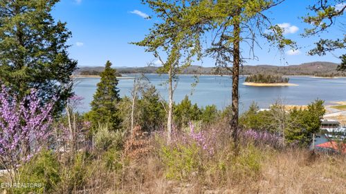Lot 765 Russell Brothers Rd, Sharps Chapel, TN, 37866-1875 | Card Image