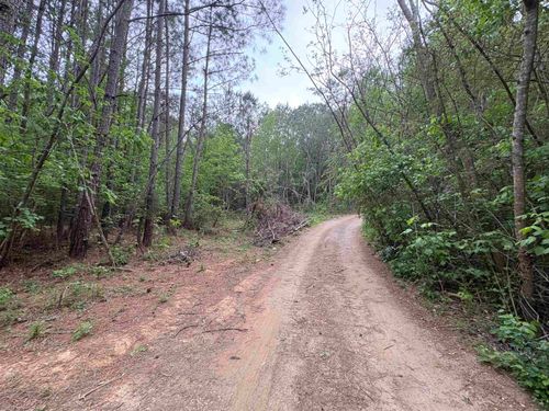 Lot 1 Wilhite Rd, Falkville, AL, 35622 | Card Image