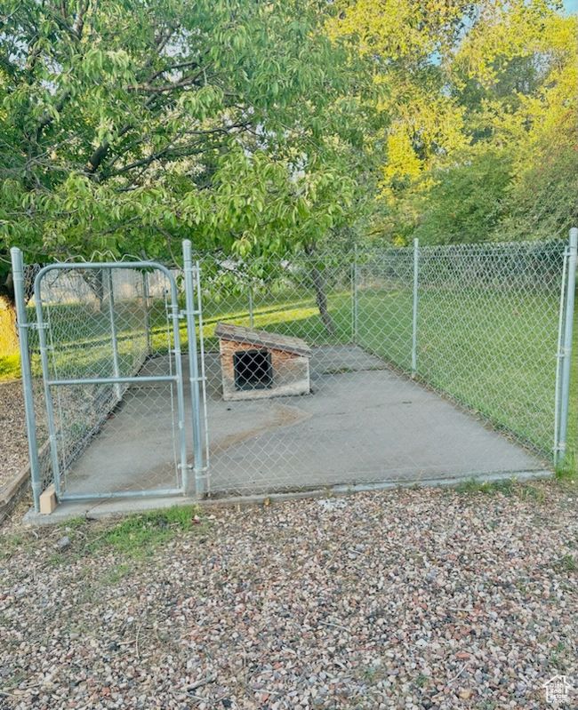 Dog run | Image 57